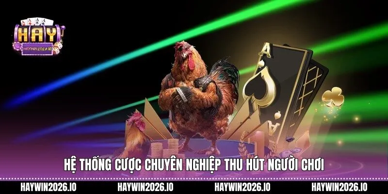 Hệ thống cược chuyên nghiệp thu hút người chơi