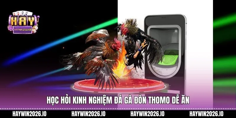 Học hỏi kinh nghiệm đá gà đòn Thomo dễ ăn