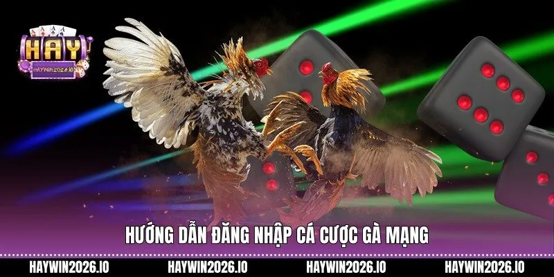Hướng dẫn đăng nhập cá cược gà mạng
