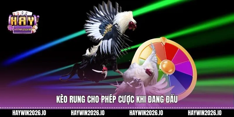 Kèo rung cho phép cược khi đang đấu 