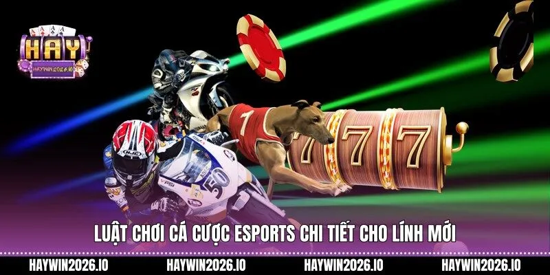 Luật chơi cá cược eSports chi tiết cho lính mới