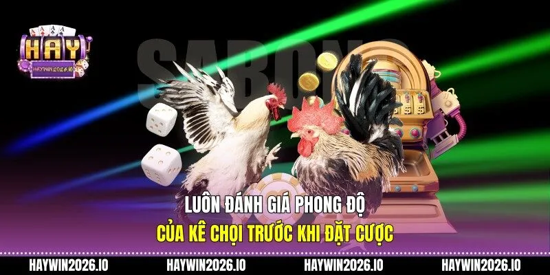 Luôn đánh giá phong độ của kê chọi trước khi đặt cược