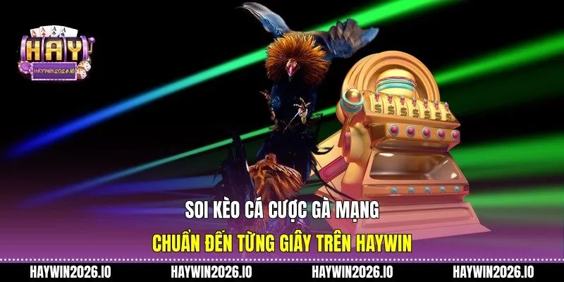 Cá cược gà mạng
