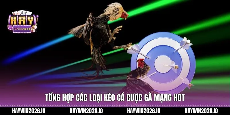 Tổng hợp các loại kèo Cá cược gà mạng hot